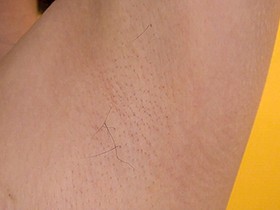 素人娘の全裸図鑑4 今時の女の子13名が恥らいながら脱衣していく様子をじっくり撮影した、変態紳士のためのヘアヌードコレクション　サンプル画像09